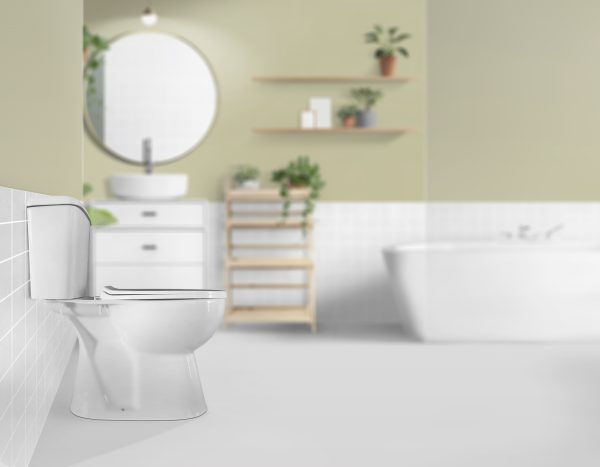 Duoblok staand toilet zonder bidet