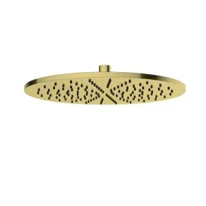 Caral hoofddouche rond 30 x 0,8 cm