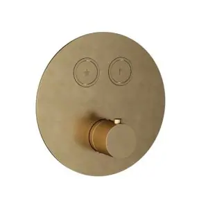 Afbouwdeel - Inbouwthermostaat met 2 pushbuttons BB - Living Colours vormen een Poetsbaar patina