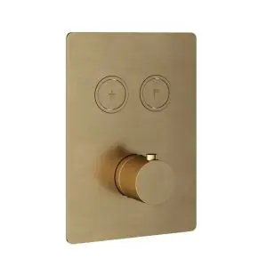 Afbouwdeel - Inbouwthermostaat met 2 pushbuttons BB - Living Colours vormen een Poetsbaar patina