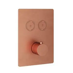 Afbouwdeel - Inbouwthermostaat met 2 pushbuttons BC - Living Colours vormen een Poetsbaar patina
