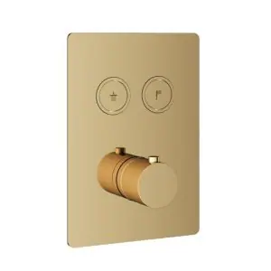 Afbouwdeel - Inbouwthermostaat met 2 pushbuttons NB - Living Colours vormen een Poetsbaar patina