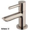 Caral Amador fonteinkraan Kiwa 1/2" geborsteld staal