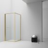 Inslide Douchecabine ruimtebesparend 90x90x200cm geborsteld goud